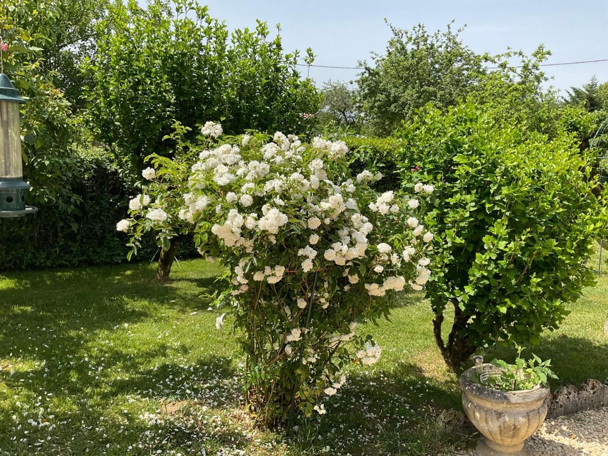 Le Jardin De Rose 24 Feuillebert Romagne 86700 Bed & Breakfast ภายนอก รูปภาพ